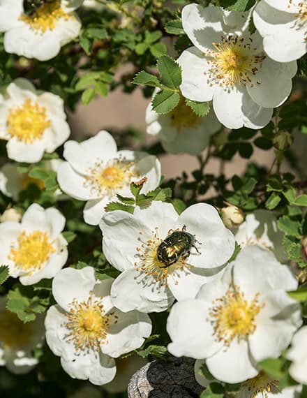 Nehmen Sie Kontakt mit uns auf!